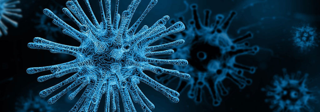 DIE CORONAVIRUS INFO SEITE