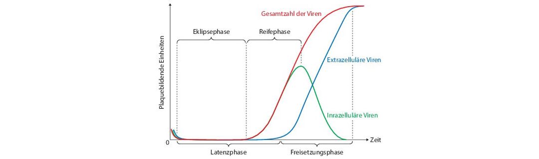 #Latenz